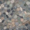 Msi Sliced Rainforest Pebble SAMPLE Tumbled Marble Mosaic Floor And Wall Tile ZOR-MD-0400-SAM - alternate 1